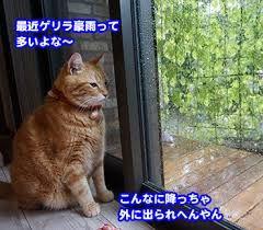 ＲＥＩＴで配当年金を増やしたいにゃあ、笑い。 苦露堕ァ・・・あ゛ぁぁぁあ！！！！