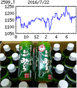 ジャパンフーズ(株)【2599】 【　10年前（2016年)　】  優待到着  選択した「千葉のおいしいお茶」　房総(ふさ)みどり　・・純粋仕立て　　   （2016年)　ジャパンフーズ [2599]　 総合飲料受託生産で国内大手。炭酸飲料が得意。水宅配なども。伊藤忠系。利益は上期偏重 「・・・ 【横ばい】国内飲料の受託製造は堅調だが、天候不順や販価競争の影響見込む。動力費軽減や生産設備の効率化が進む一方、人件費負担きつく営業益前期並み。中国関係会社関連特損剥落し最終増益。増配も。 【投資計画】18年３月期に工場建屋を含む製造施設改築に75億円を投資予定。同期にミネラルウォーター販社と中国製造会社を連結化へ。19年３月期営業益19億円目標。