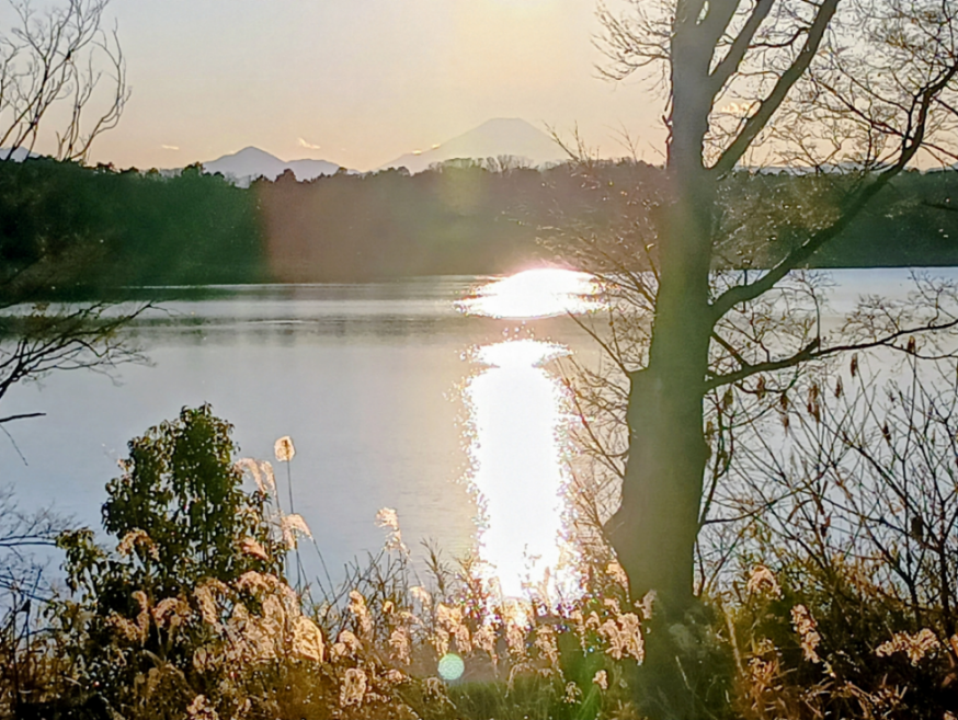 時々株式 ちこ姉さん、 今年も宜しくお願いします🦄 お忙しそうで お体いたわって下さいね😊