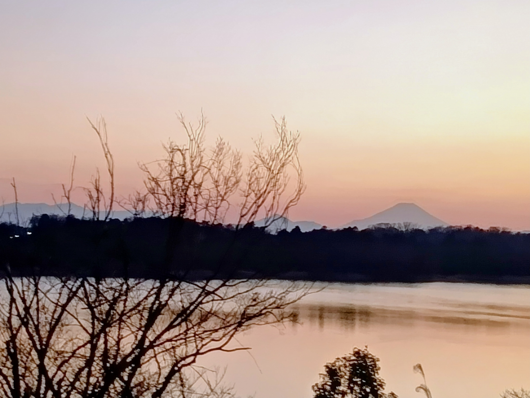 時々株式 今晩は、ちこ姉さん 私も最近端株を売買する事が 多いです 指値出来ないけど 確実に売買出来るから気分良いし 金額が大きく無いので チキンハートには気が楽です🙆 今日の多摩湖散歩 富士山🗻が綺麗‼️