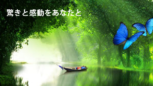 モルフォが二万円になるまでのスレッド 為替が111.72円 月曜日は112円、付けるね なんだかんだ言っても、円安はモルフォにとって、超追い風です。 イキなり12000円付けるかもね。