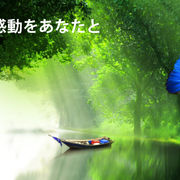 モルフォが二万円になるまでのスレッド