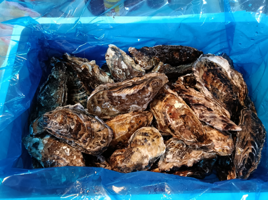 イマジン相場 かきが届いた