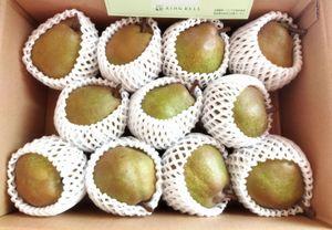 エスリード(株)【8877】 拙宅にも ラ・フランスが届きました。 買値に対する配当利回りも、いつの間にか20%を超えました。 ありがとうございます。