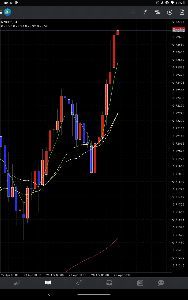 ◎私とメンタルFX◎ 1hでトレンドライン1の切り番エントリーを3の陰線が出ず(騙し)見事に引っ掛かり。  手動損切り、直後4hでES 1だがPB 出現。　その時1hは4hの上でM →V 鉄板なので、月末の焦りもあり大玉エントリー😂  とにかく月末がヤバい。ワンちゃんある可能性が高過ぎる。  目標月利益10％維持は止める。　今月から月利益5％に変更。　　危なすぎる。