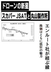 (株)丸山製作所【6316】 【 10年前(2016年) 】 ~ 2016 ー。
