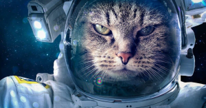 (株)アストロスケールホールディングス【186A】 はっきり言ってやろう。 例の観測衛星モドキ自体、既に宇宙空間で Gomiと化してるんちゃうか？  よって売り!!!　全力でぶん投げの売り!!!