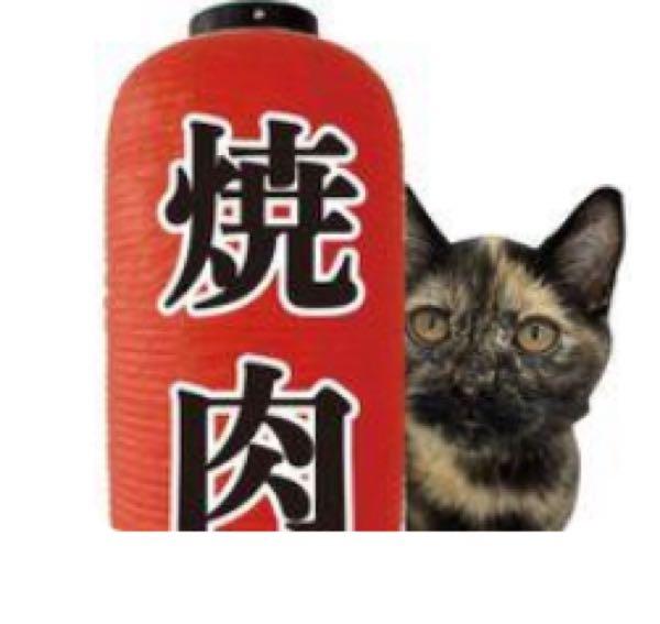 (株)アストロスケールホールディングス【186A】 焼肉に向けて準備進んでますし😭感動。