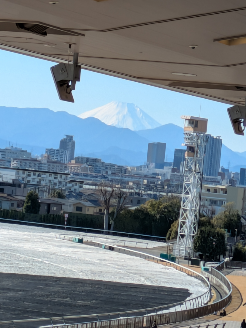 暇人の感トレ 明けましておめでとうございます🎍 午年🐎 みんなたくさん当たるといいですね!