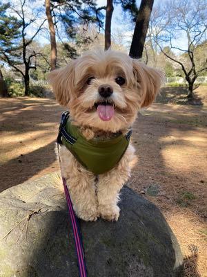 日本コークス工業(株)【3315】 みなさん あけおめ ことよろ😚