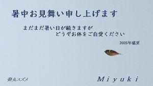 (*^^)ゆっくり、のんびり、マイペース♪ 今日は朝から猛烈に暑いです。  現在の室温29.0℃・湿度49％♪(^_-)-☆   みゆきの占い(*^_^*)　▼△△▼▼  2024年末比+15.86％（前週比+1.60％）  ファンド設立来最高値。      ヘンリーさん♪  ＞笑止千万  あっ！　知らない熟語  調べました。  みゆき、また一つお利口になりました♬(^_-)-☆   ☆