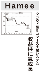 Hamee(株)【3134】 【 10年前(2016年) 】 ~ 2016 ー。
