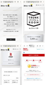 (株)ストレージ王【2997】 【　株主優待　到着　】　(100株 継続保有期間1年未満)　①デジタルギフト(R)3,000円分＋②自社トランクルーム割引券2,000円相当　 ※初取得です　ー。