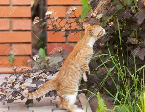 脱出するぞ! 見たような、知ってる匂い