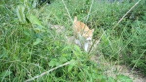 脱出するぞ! なんとなく・・