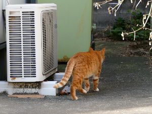 脱出するぞ! ここを曲がると・・