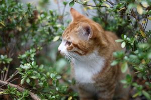 脱出するぞ! ところでここはどこだ?