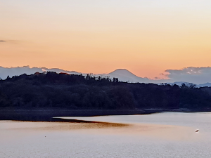 ぶにっちょの備忘録~老後資金頑張って貯めたい~ 今日は、ちこ姉さん。 ご無沙汰しています😊 熊のニュースが流れてきますが、 心配😟ですね。 仕事が無くなり、週4日位 多摩湖に車で行き、1時間位 散歩してます😊 写真は、土曜日に酵素風呂の 帰り道の狭山湖からの富士山です