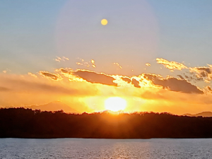 ぶにっちょの備忘録~老後資金頑張って貯めたい~ 今晩は、ぶにっちょさん。 配当利益確定での売りお上手ですね。 配当落ちで又買えると良いですね。 証券会社の担当は私は無いですが… 友人が担当者から、損したおわびで オーストラリアの銀行買いで 上がっているからと15年位前に教えてもらいました。 何回か買い増しして、為替益も含め倍になっています。 弟は、東京メトロの新規の時に 担当者に欲しい数を話、半分当たったそうです。細かく取り引きは面倒なので1千万辺で取り引きするそうです。 私と真逆です🫣