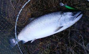 株式取引☆株式成績☆自慢などをするスレッド かガハはははははははガハはははははははガハはははははははガハはははははははぁ