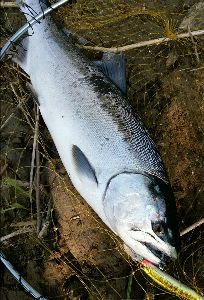 株式取引☆株式成績☆自慢などをするスレッド かガハはははははははガハはははははははガハはははははははガハはははははははぁ 株はGWは休みます ここ釣果自慢のスレになっちまったなw