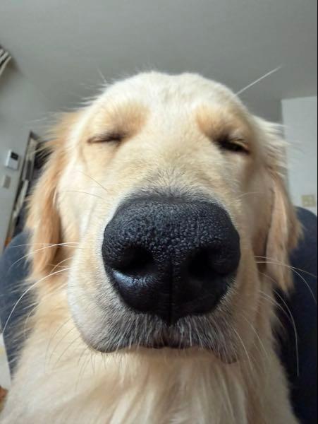 丸紅(株)【8002】 落ちついて 丸紅ガッチリホールドしてます！！