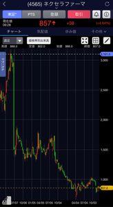 ネクセラファーマ(株)【4565】 良い週末だそうです。 だいぶ調教されているようで。笑い